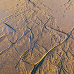 Receding Tide, Pescadero Beach
