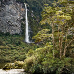 Fjordland Park, South Island, New Zealand