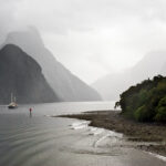 Early Morning, Milford sound, New Zealand
