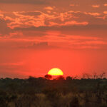 Sunset, Chobe Savute National Park, Botswana