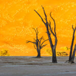 Dead Vlei at sunrise, Sossusvlei, Namibia