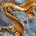 Rock Abstract, Point Lobos