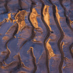 Canyon Wall Reflections in River Mud, Grand Canyon