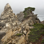 Point Lobos