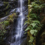 Russian Gulch State Park, Mendocino Coast