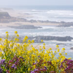 San Mateo Coast