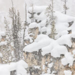 Grand Canyon of the Yellowstone