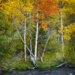 Rush Creek, Eastern Sierra