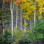 Rush Creek, Eastern Sierra
