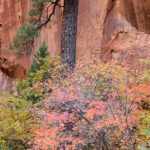 Zion National Park
