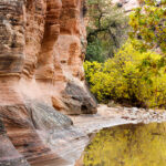 Zion National Park