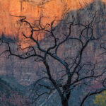 Zion National Park