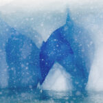 Iceberg, Antarctic Peninsula