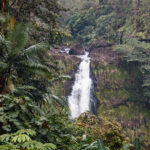 Top of Akaka Falls, Island of Hawaii