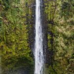 Akaka Falls, Island of Hawaii
