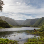 Pololu Valley, Island of Hawaii